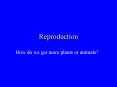 Reproduction PowerPoint PPT Presentation