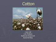 Cotton
