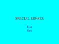 SPECIAL SENSES PowerPoint PPT Presentation