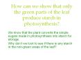 How can we show that only the green parts of the leaf produce starch in photosynthesis? PowerPoint PPT Presentation