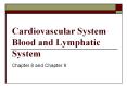 Cardiovascular System Blood and Lymphatic System PowerPoint PPT Presentation