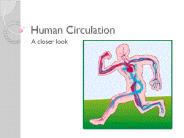 Human Circulation