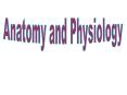 Anatomy PowerPoint PPT Presentation