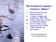 The Florida Everglades 