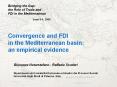 Convergence and FDI PowerPoint PPT Presentation