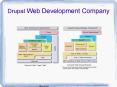 Drupal Web Development Company