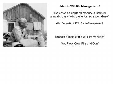 What is Wildlife Management?