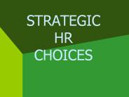 STRATEGIC  HR     CHOICES
