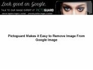 Pictoguard Makes it Easy to Remove Image From Google Image