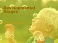 Developmental Stages PowerPoint PPT Presentation