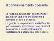 Il condizionamento operante