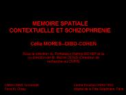 MEMOIRE SPATIALE CONTEXTUELLE ET SCHIZOPHRENIE