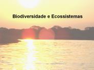 Biodiversidade e Ecossistemas