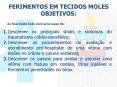 FERIMENTOS EM TECIDOS MOLES PowerPoint PPT Presentation