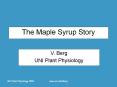 The Maple Syrup Story PowerPoint PPT Presentation