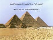 UNIVERSIDAD AUTONOMA DE CIUDAD JUAREZ  MAESTRIA EN CIENCIAS FORENSES