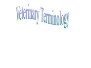 Veterinary Terminology