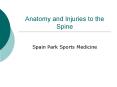 Anatomy and Injuries to the Spine PowerPoint PPT Presentation
