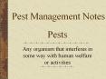 Pests PowerPoint PPT Presentation