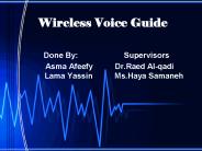 Wireless Voice Guide