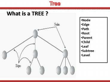 PPT – Tree PowerPoint presentation | free to download - id: 5300fc-MGYwY