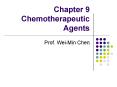 Chapter 9 Chemotherapeutic Agents PowerPoint PPT Presentation