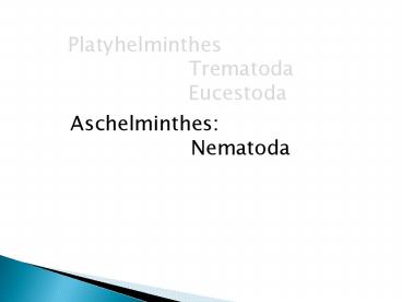 Aschelminthes: