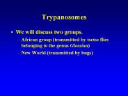 Trypanosomes