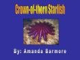 Crown-of-thorn Starfish PowerPoint PPT Presentation