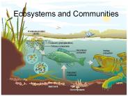 Ecosystems and Communities