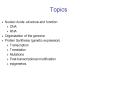 Nucleic Acids: structure and function PowerPoint PPT Presentation