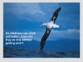 An albatross can drink salt water  PowerPoint PPT Presentation
