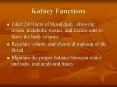 Kidney Functions PowerPoint PPT Presentation