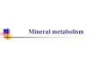 Mineral metabolism PowerPoint PPT Presentation