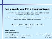 Les apports des TIC 