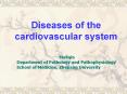 Diseases of the cardiovascular system PowerPoint PPT Presentation
