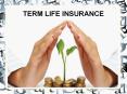 Everything About Term Life Insurance PowerPoint PPT Presentation