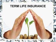 Everything About Term Life Insurance