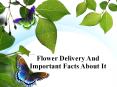 Flower delivery and important facts about it PowerPoint PPT Presentation