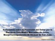 Reflexiones sobre la Ascensi