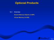 Optional Products