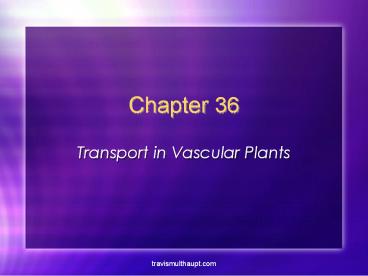 Transport in Vascular Plants