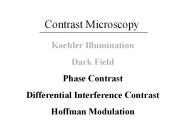 Contrast Microscopy