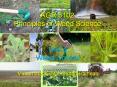 AGR 3102 Principles of Weed Science  Unit 4: Weed Control PowerPoint PPT Presentation