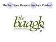 Kanha Tiger Reserve Madhya Pradesh PowerPoint PPT Presentation