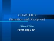 CHAPTER 3 (Sensation and Perception)