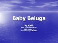 Baby Beluga PowerPoint PPT Presentation