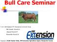 Bull Care Seminar PowerPoint PPT Presentation