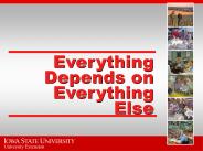Everything Depends on Everything Else