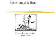 Pijn en stress de Baas